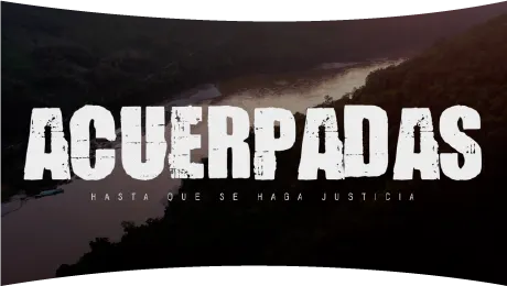 Carrusel Proyecto Acuerpadas