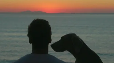 https://www.somospanarama.com/wp-content/uploads/2026/05/biscay1.webp