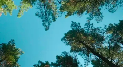 https://www.somospanarama.com/wp-content/uploads/2026/05/biscay4.webp